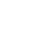 LOGO semplice-Flaminia-white