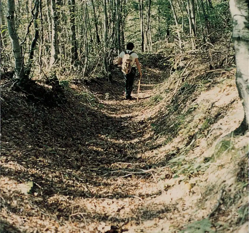 Panoramica-degrado-basolati