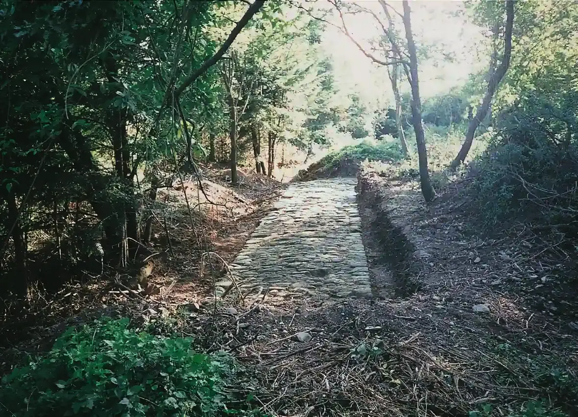 Monte Poggione basolati romani